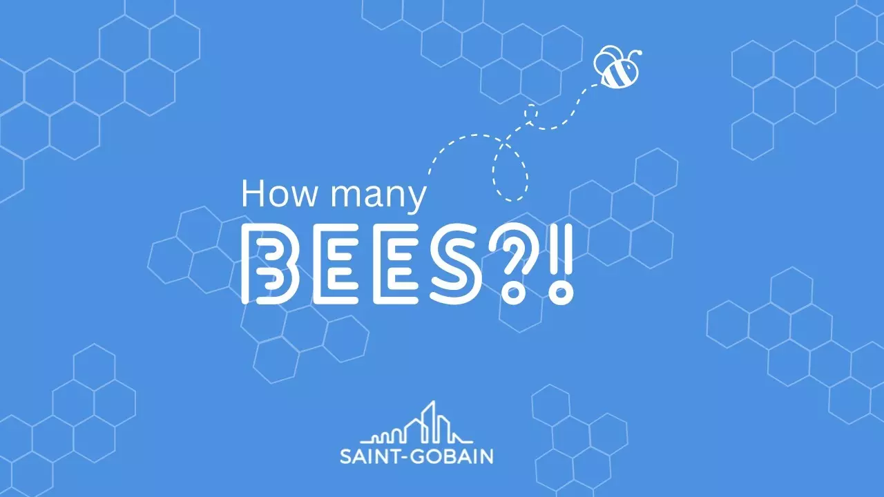 Meet our new residents-our bees?! thumbnail